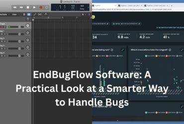 endbugflow software