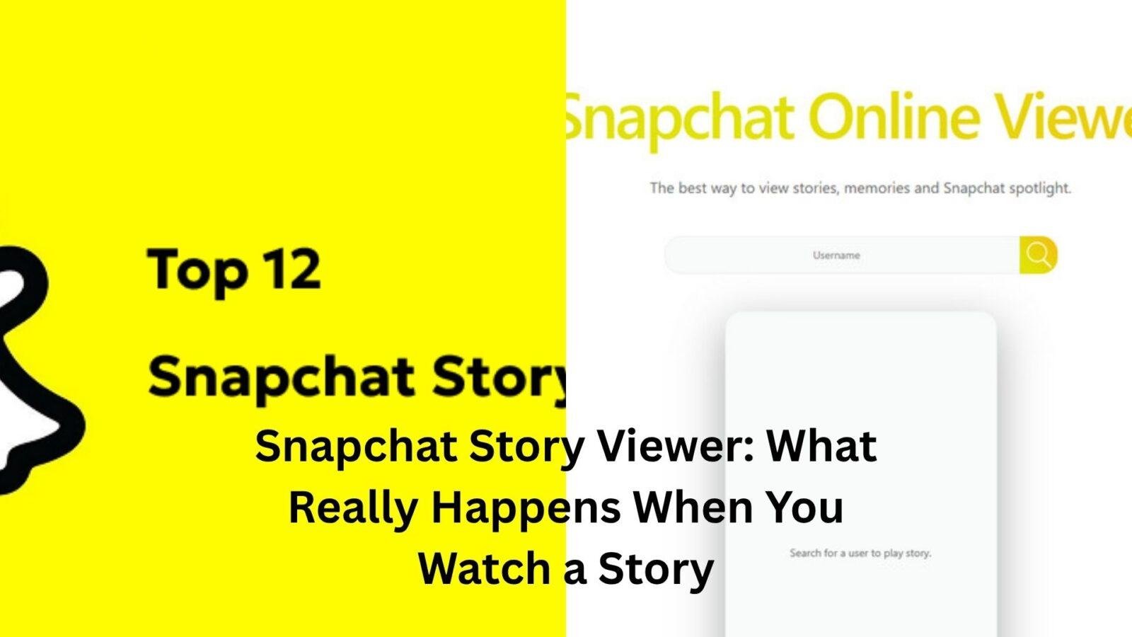 snapchat story viewer