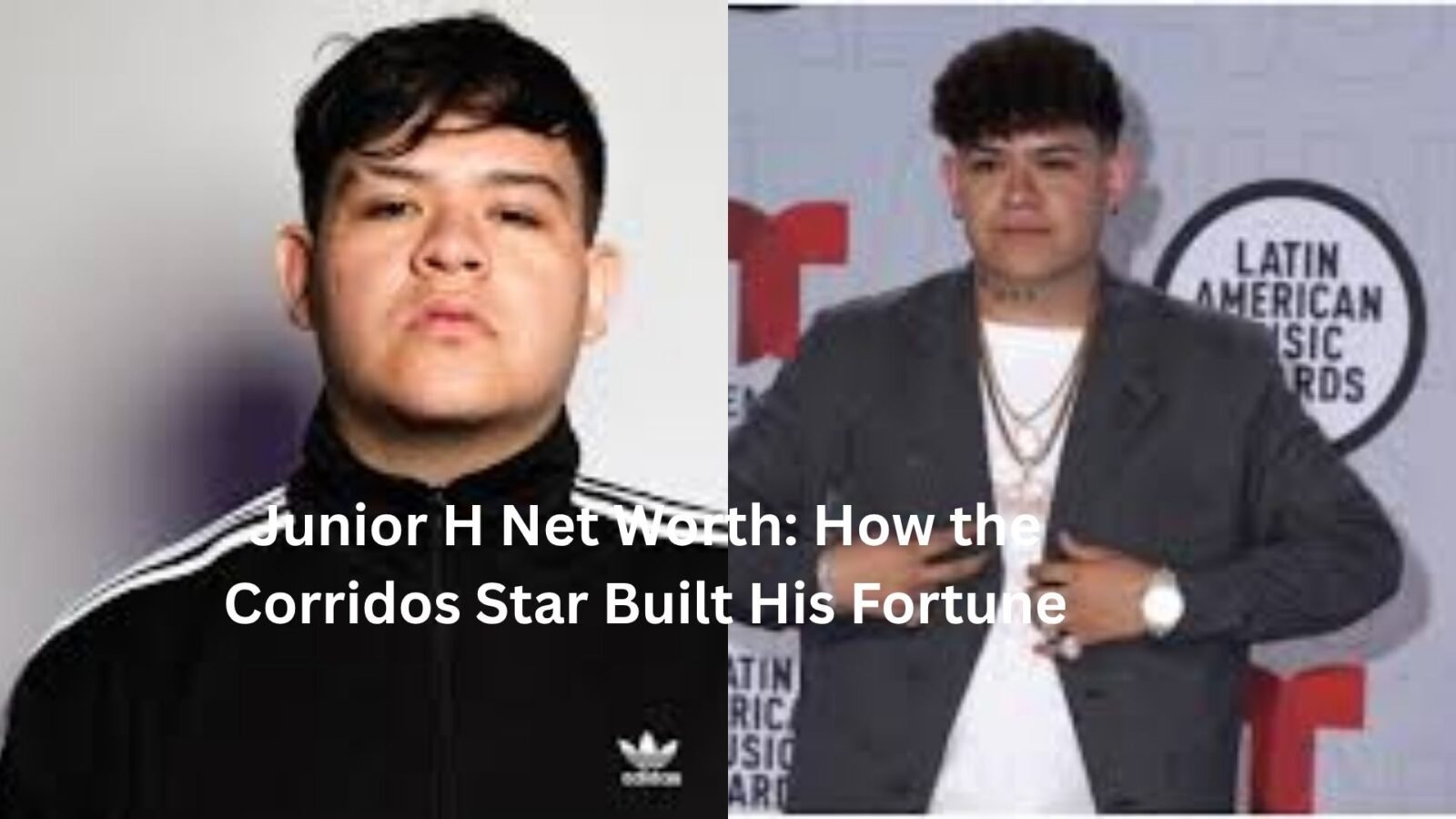 junior h net worth