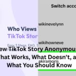 view tiktok story anonymously
