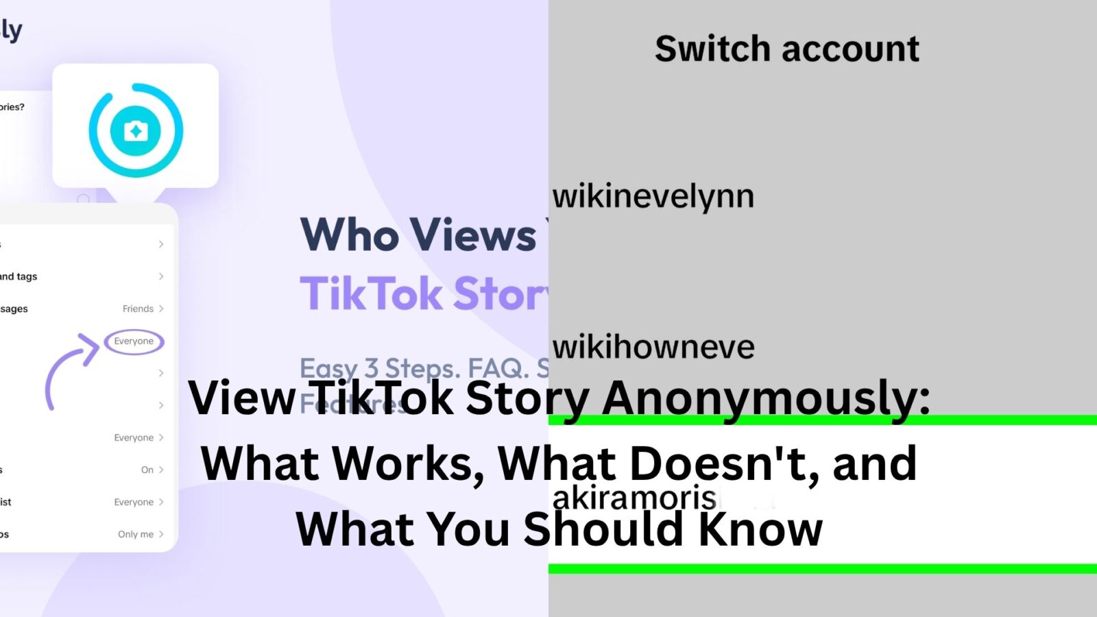 view tiktok story anonymously