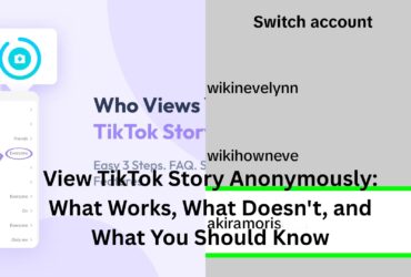 view tiktok story anonymously