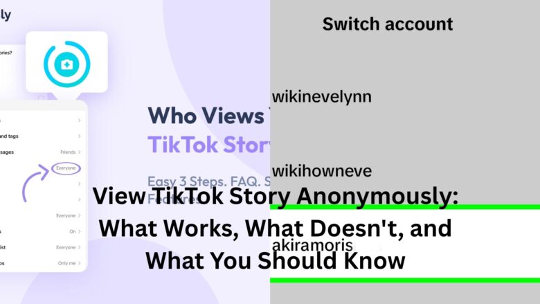view tiktok story anonymously