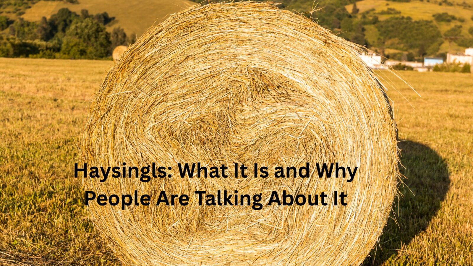 haysingls