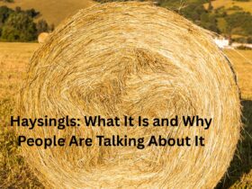 haysingls