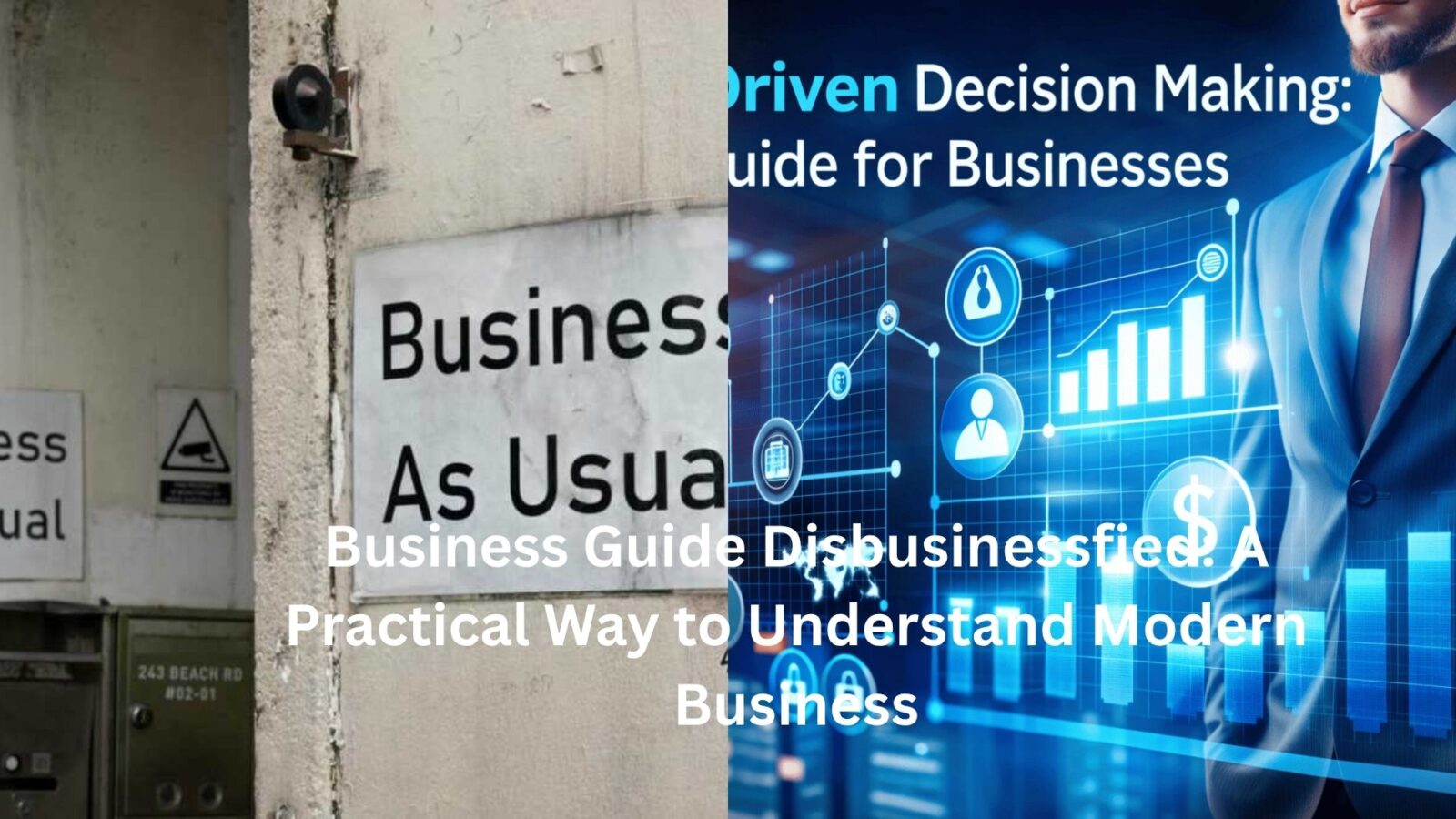 business guide disbusinessfied