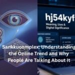 sankkucomplex