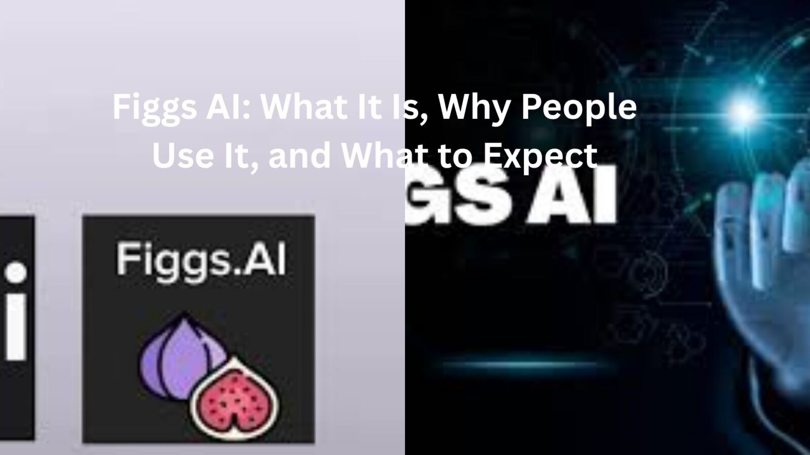 figgs ai
