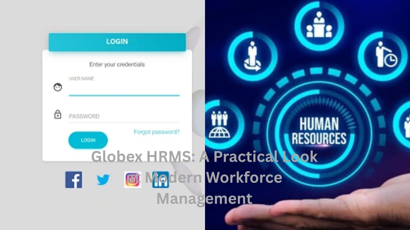 globex hrms