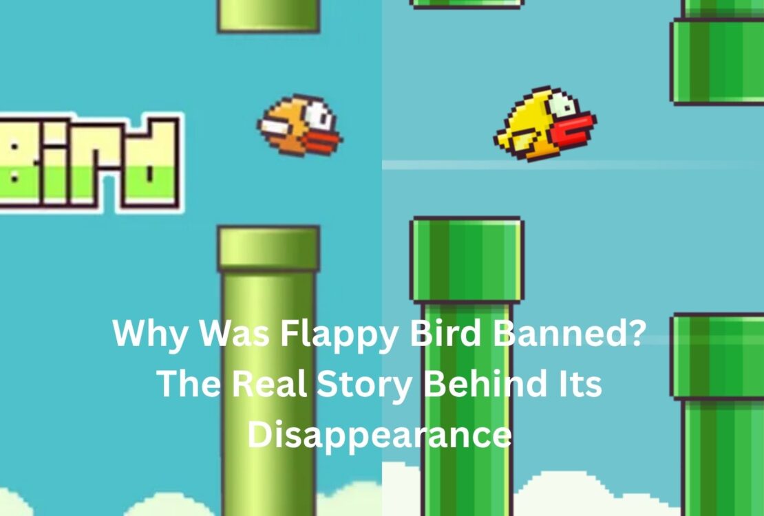 why was flappy bird banned