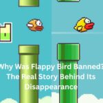 why was flappy bird banned