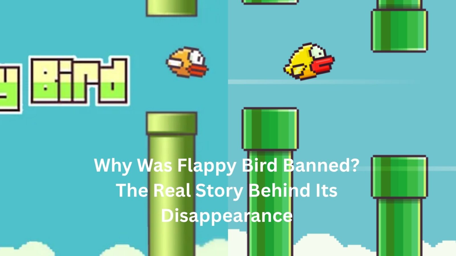 why was flappy bird banned
